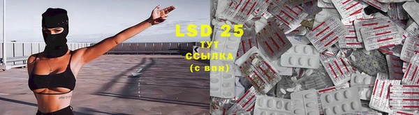 PSILOCYBIN Баксан